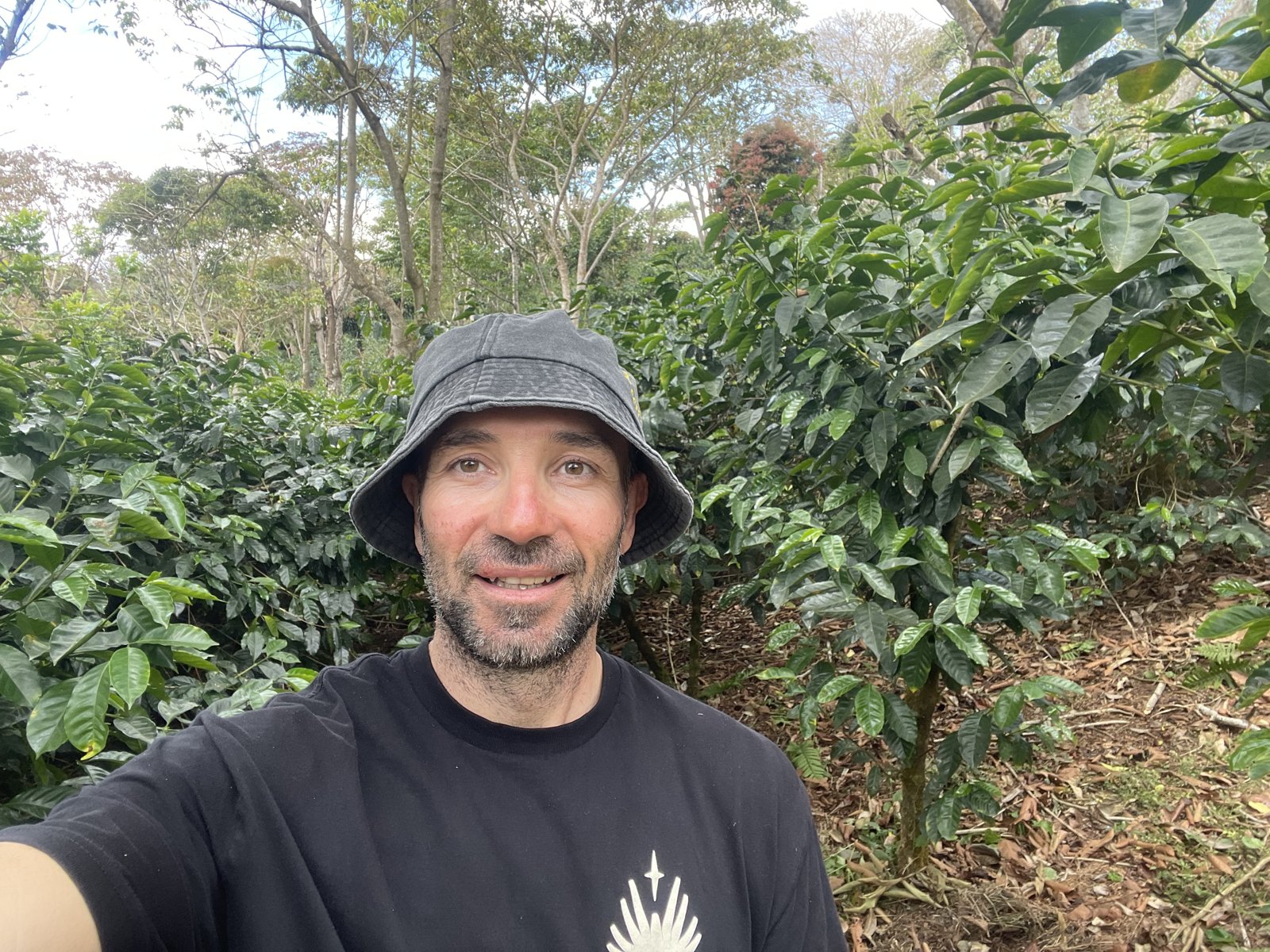 Pedro Ros entre cafetos durante un viaje a origen