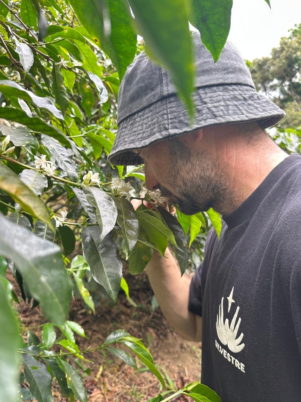 Pedro Ros oliendo la flor del cafeto durante una visita a finca