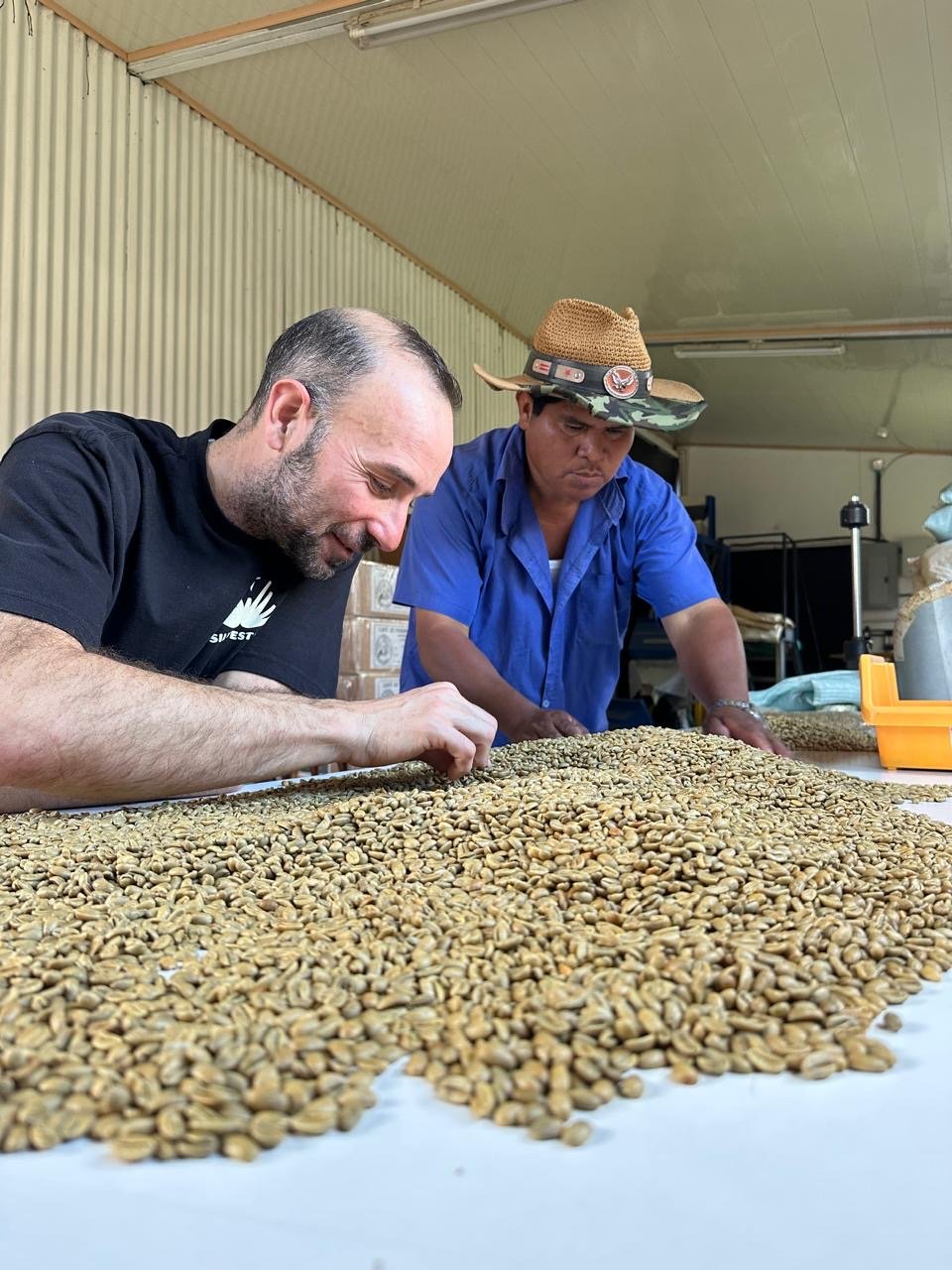 Pedro Ros seleccionando café verde grano a grano junto a un productor en origen